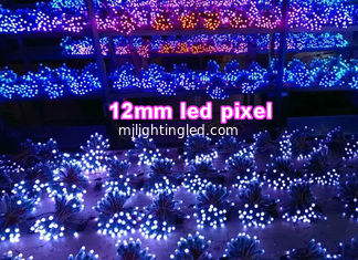 China 12mm led point lamp Fullcolor 1903/6803/WS2801/WS2802 colorful led signage outdoor decorative signs supplier