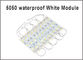 SMD 3 Light 5050 LED Module white color led string light for led channel letters supplier