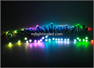 China 12mm 5V RGB LED Pixels light 2811/1903IC for Christmas decoration supplier